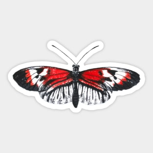 Piano key butterfly Sticker